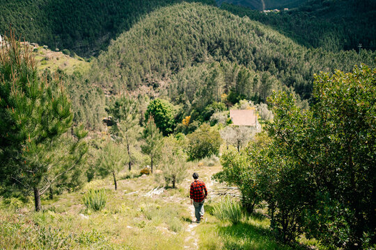 Hiker Walking Down a Trail in a Green Forest Near a Small House