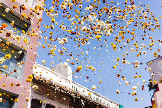 Flower Petals in Sky