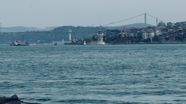 Breathtaking view of dolphins swimming in Bosphorus Strait, Istanbul, Turkey. Beautiful seascape with historic Maiden's Tower, ferry boat, and majestic bridge on background. Sea travel scene.