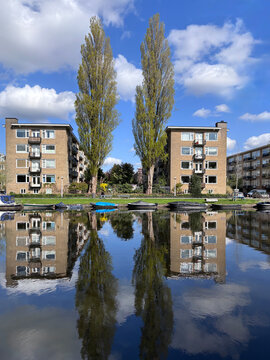 two apartment buildings and two trees reflected in water