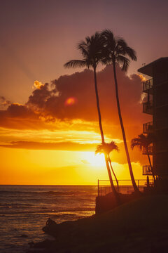 Fiery sunset with lens flare & palm silhouettes on the Hawaiian coast, vertical