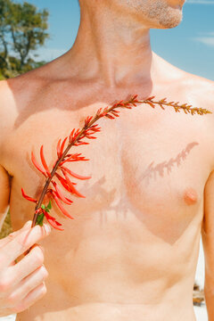 Man Holding Flower Summer Skin