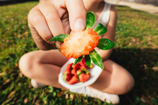 Hand holding strawberry with bowl of fruit outdoors

