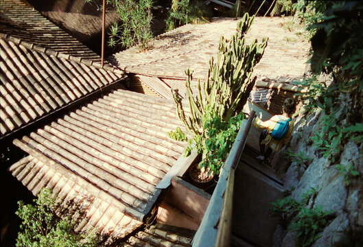 Descending Garden Stairway