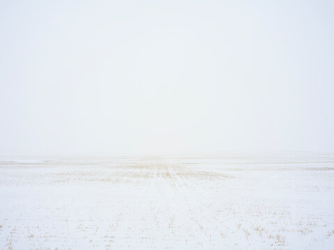 Snow Covers Flat Land in Winter Weather on a Foggy Day