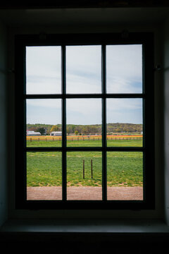 View through window overlooking tulip fields and rural landscape