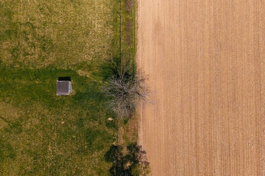 Aerial view of tree and shed along field boundary