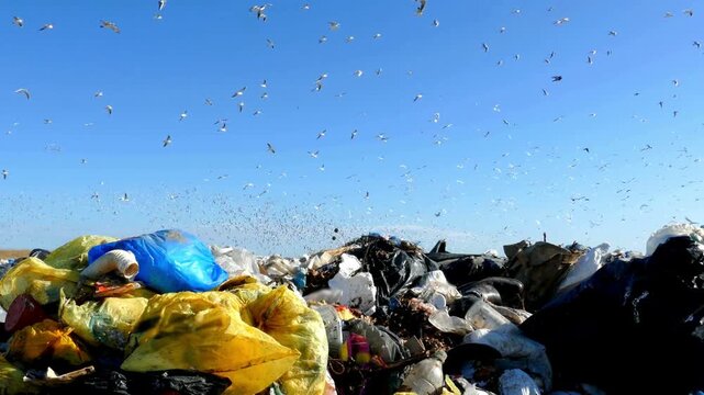 Large pile of trash and garbage with birds flying overhead outside