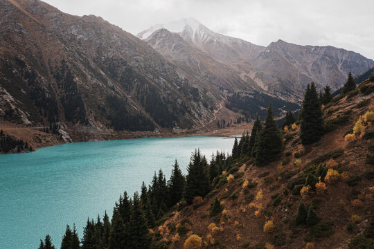  Lake by Coniferous Forest