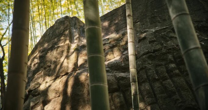 Slow motion steady cam shot of bamboo and large rock with sunlight peaking through