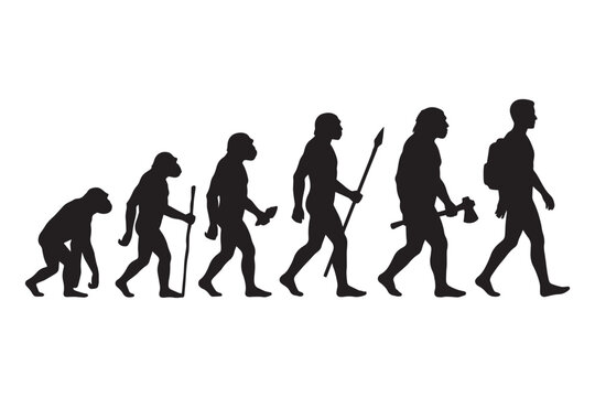 Human evolution silhouette from ape to modern man