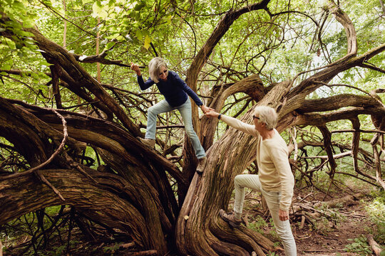 Senior Couple Climbing a Tree