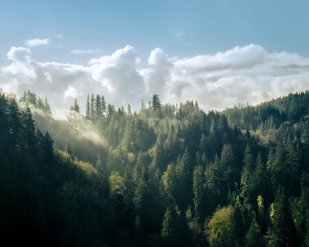 Snoqualmie National Forest