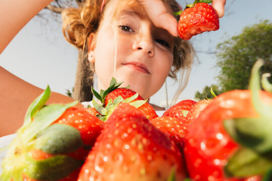 Hand holding strawberry with bowl of fruit outdoors
