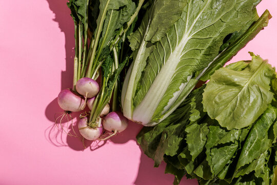 Vegetables, Turnip, Chinese cabbage and endive