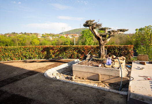 Prepared Soil Area in Backyard