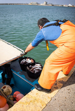 Fisherman unloading buckets of fish from his boat