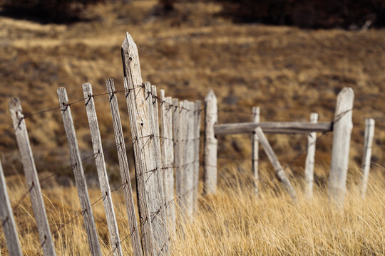 Patagonian fencing