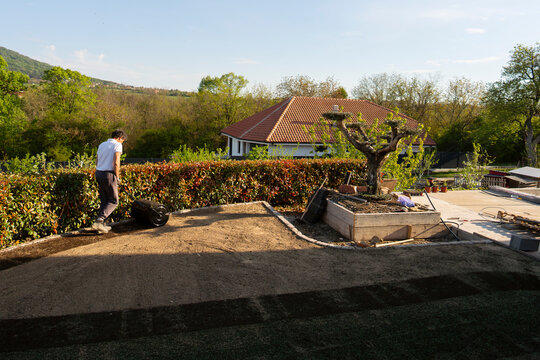Backyard landscaping