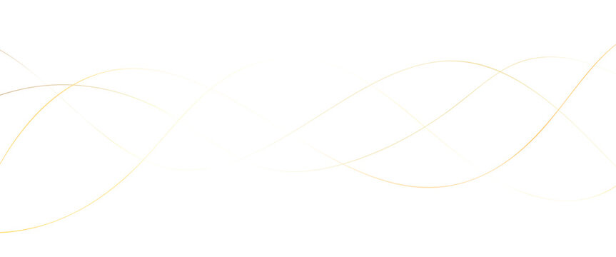 Golden flowing lines abstract background on white with transparent background