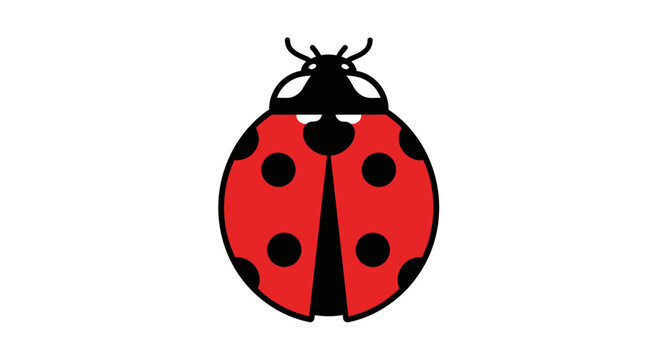 Red Ladybug Insect Cartoon Illustration
