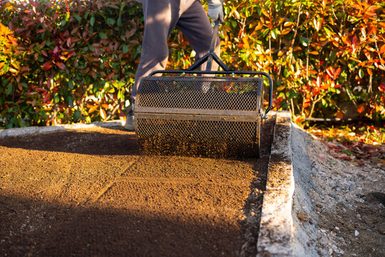 Spreading soil with garden roller in backyard