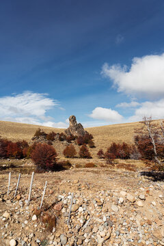 Rocky grassland in Patagonia Chile