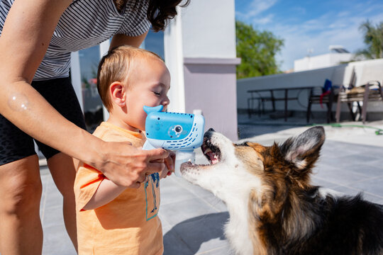 Toddler and dog playing