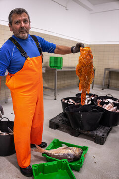A fisherman shows off a large fish
