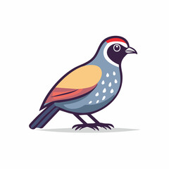 Naklejka premium Stylized Quail Bird Illustration