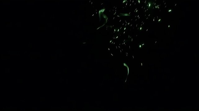 Green light ring motion footage featuring swirling energy particles orbiting a dark void for professional visual effects and digital design