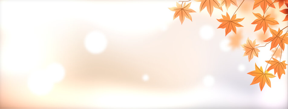 Autumn background banner with orange maple leaves branches on a soft blurred bokeh background with copy space