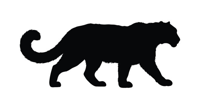 leopard silhouette black animal shape on white background