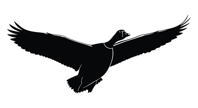 Flying goose silhouette against a white background silhouette