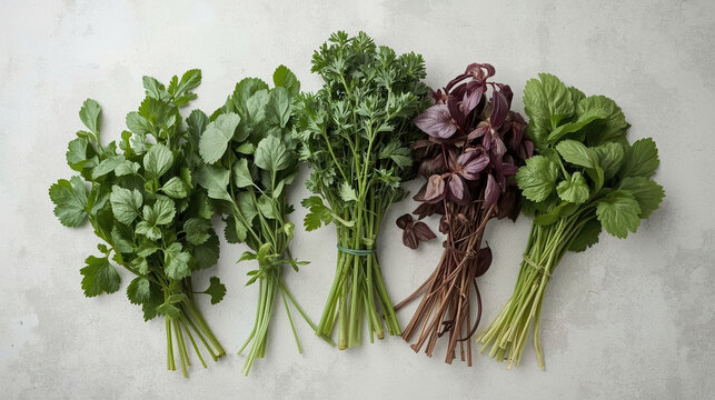 Fresh herb bundles on neutral surface arranged neatly with natural light and calm mood