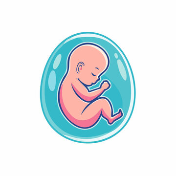 Fetus in amniotic sac illustration