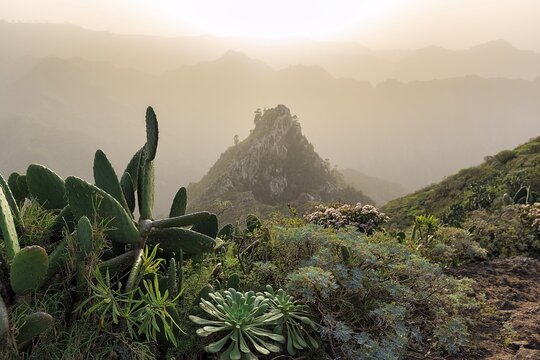 View of rock formation in the evening haze, Roque de los Pinos, backlight, Chinamada, Anaga Mountains nature Park, San Crist&oacute;bal de La Laguna, Tenerife, Spain