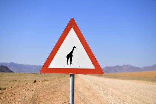 Road sign warns of crossing giraffes, Namibia