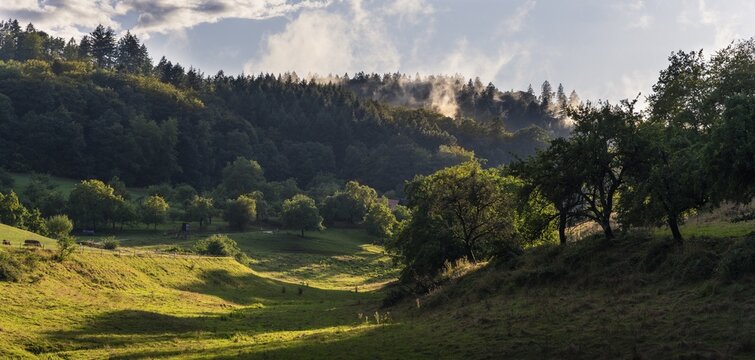 Landscape in the Odenwald with trees, meadows, forest and hills. Sunshine after rain. In the evening. Hinterheubach, Heiligkreuzsteinach, Odenwald, Baden-W&uuml;rttemberg, Germany