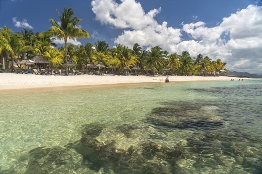 Dream beach with palm trees at the bay of Turtle Bay, Mauritius