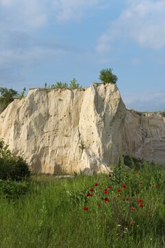 A limestone quarry surrounded by lush grass and wild red flowers under a blue sky, mountain with breeding caves of bee-eaters, Vladimirovo, Dobrich, Black Sea, Bulgaria