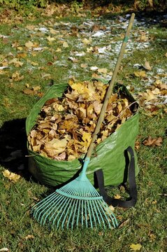 Autumn foliage and rake, gardening in autumn