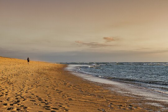 Coastline, lonely walker on beach, enjoying evening light, Soustons Plage, Silver Coast, C&ocirc;te dArgent, Atlantic Ocean, Soustons, Landes, Nouvelle-Aquitaine, France