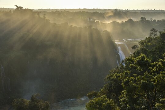 View from the waterfall Salto Santa Maria over the rainforest of Isla San Martin at sunset, Iguazu Falls, Puerto Iguazu, border to Brazil, Argentina