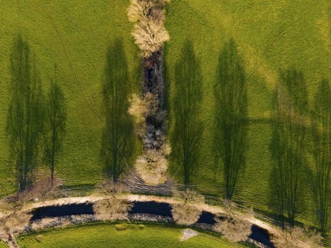 Drone image, trees at the Fuhse, Ilsede, district Peine, Lower Saxony, Germany