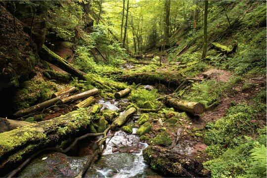 A stream in the Wolfsschlucht (Wolf Gorge) in the Odenwald. Zwingenberg, Neckar-Odenwald district, Baden-W&uuml;rttemberg, Germany