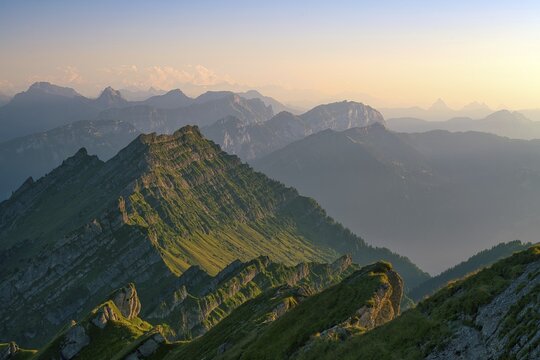 View from Europe's highest Nagelfluhberg Speer, Mount Federispitz with Central Swiss Alps in the evening light, Canton St. Gallen, Switzerland