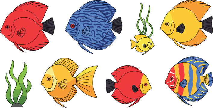 Colorful Discus Fish Illustration Set Featuring Vibrant Tropical Aquarium Species and Aquatic Seaweed for Pet Shop Branding Home Decor and Educational Nature Designs