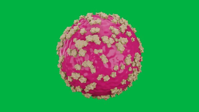 hantavirus cell 3d animation illustrated with Pink sphere covered in beige particles in green screen