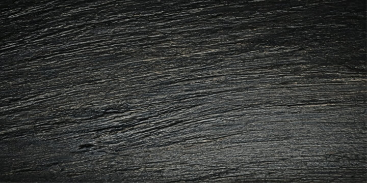 A macro shot captures the intricate, textured grain of dark, weathered wood, revealing the natural beauty of its surface with subtle striations and a rustic feel.